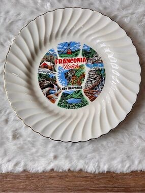 Vintage New Hampshire Franconia Notch Souvenir Collector’s Plate Sheffield